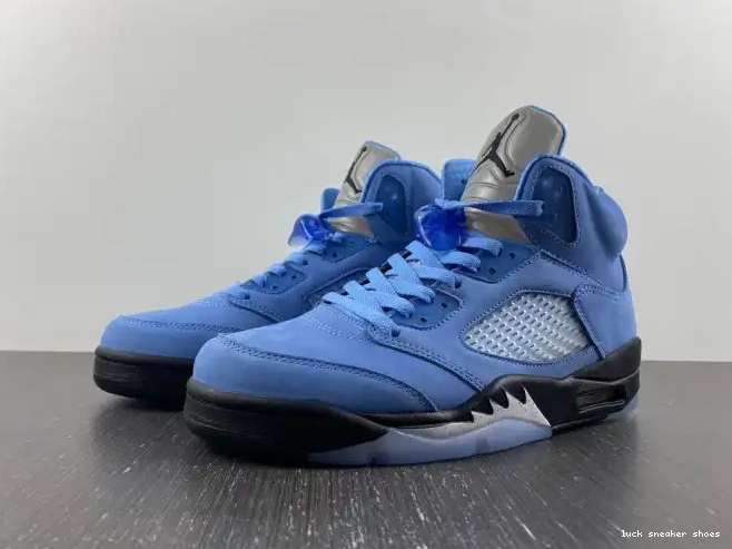 LUCY 5 Jordan UNC DV1310-401 Air 0508